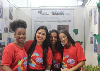 Semiárido: Estudantes utilizam cacto para desenvolver ração para animais