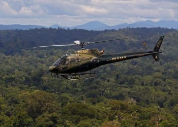 Alerta: Área de desmatamento na Amazônia cai 50% em 2023