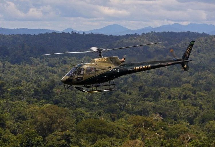Alerta: Área de desmatamento na Amazônia cai 50% em 2023