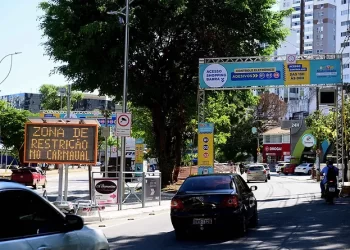 Saiba sobre fiscalização eletrônica de acesso às zonas do Carnaval