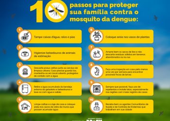 Dia ‘D’ de combate à dengue: Evento será em todo o país no sábado, 2 de março