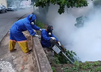 combate à dengue: CCZ reforça prevenção em locais que receberam festejos de Carnaval