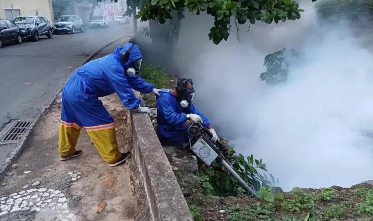 combate à dengue: CCZ reforça prevenção em locais que receberam festejos de Carnaval