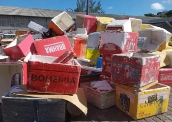 Mercadorias apreendidas no Carnaval podem ser retiradas até abril