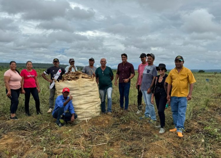Em comunidade rural de Belo Campo, novas tecnologias impulsionam a produção agrícola