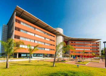 Progresso: Bahia se consolida no desenvolvimento de startups