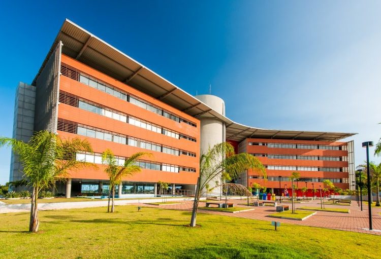 Progresso: Bahia se consolida no desenvolvimento de startups