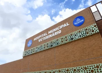 Excelente dia! Hospital Municipal Veterinário realiza mais de 160 atendimentos no primeiro dia de funcionamento