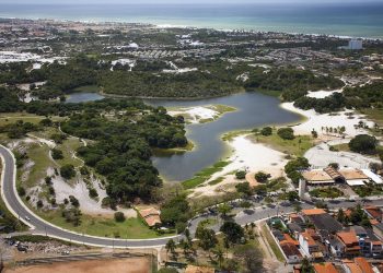 Sustentabilidade: Prefeitura planeja plantio recorde de 110 mil árvores e recuperação de áreas verdes