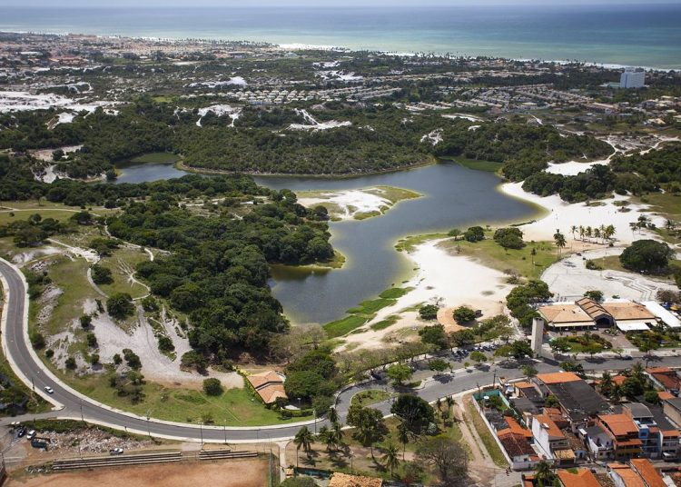 Sustentabilidade: Prefeitura planeja plantio recorde de 110 mil árvores e recuperação de áreas verdes