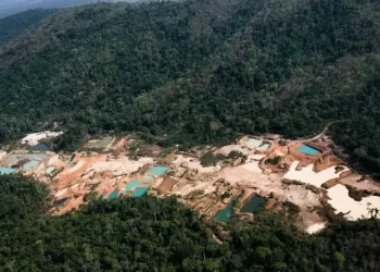 Reformulação: questões desafiadoras impõem mudanças na regulamentação do garimpo