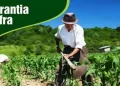 Agricultura: benefício destina-se a assegurar garantia mínima de sobrevivência à agricultores familiares