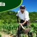 Agricultura: benefício destina-se a assegurar garantia mínima de sobrevivência à agricultores familiares