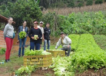 Economia: Garantia-Safra pagará mais de 216 mil agricultores familiares baianos