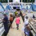 Compras: Mercado do Peixe terá mais uma edição do ‘viradão’ de 35 horas na Semana Santa