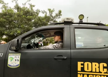 MJSP: Ações de combate ao desmatamento e apoio à segurança no RJ são prorrogadas