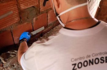 Prefeitura promove ações de prevenção à leptospirose em Salvador