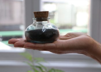 Vem ver: Amostra de cinzas vulcânicas da Espanha passam a fazer parte do acervo do Museu Geológico da Bahia