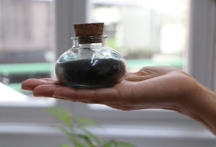 Vem ver: Amostra de cinzas vulcânicas da Espanha passam a fazer parte do acervo do Museu Geológico da Bahia