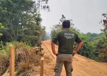 Projeto: Agentes da Funai podem ganhar direito ao porte de arma de fogo