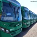 Transporte público: Salvador recebe 32 novos ônibus para compor frota da cidade