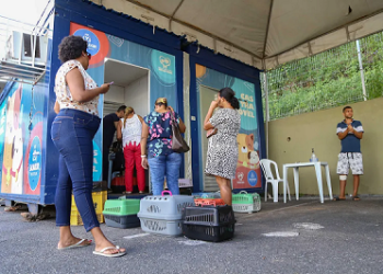 Atenção: Castramóvel em Pirajá realiza castrações de cães e gatos até 2 de maio