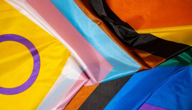 Comitê de Monitoramento da Estratégia Nacional de Enfrentamento à Violência contra Pessoas LGBTQIA+ é criado