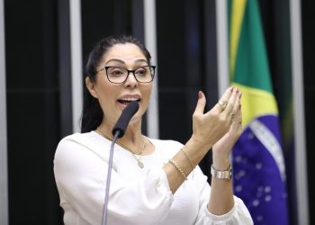 Câmara dos Deputados aprovou projeto que cria a Política Nacional de Humanização do Luto Materno e Parental