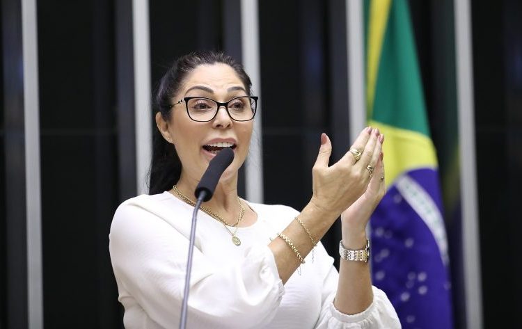 Câmara dos Deputados aprovou projeto que cria a Política Nacional de Humanização do Luto Materno e Parental