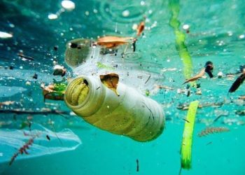 Sustentabilidade: Encontro discute propostas de Salvador para redução dos plásticos nos oceanos