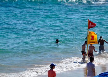 Capacitação: Agentes de salvamento aquático da Salvamar participam de curso de Libras em parceria com a Sempre