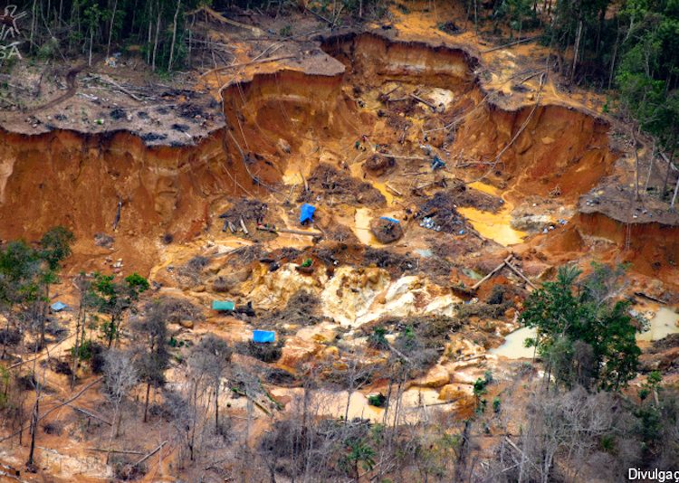 Combate: Megaoperação destrói infraestrutura criminosa na Terra Indígena Yanomami