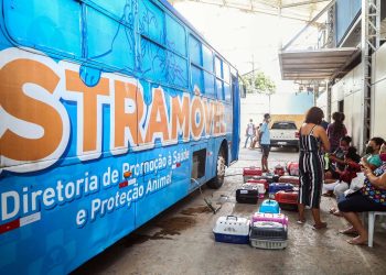 Atenção: Castramóvel atende gratuitamente animais da região de Cajazeiras