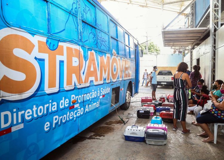 Atenção: Castramóvel atende gratuitamente animais da região de Cajazeiras