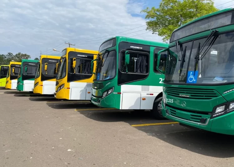 Privado: Transporte público: Nova linha de ônibus dará atendimento ao Jardim Cajazeiras a partir de segunda (27)
