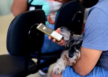 Modernização dos serviços: Prefeitura disponibiliza Wi-Fi gratuito em equipamentos municipais