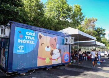 Serviços de saúde animal: Castramóvel prossegue em Cajazeiras X até o mês de julho