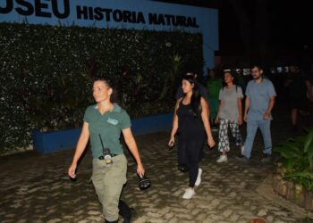 Meio Ambiente: Zoológico de Salvador promove mais uma imersão na vida selvagem