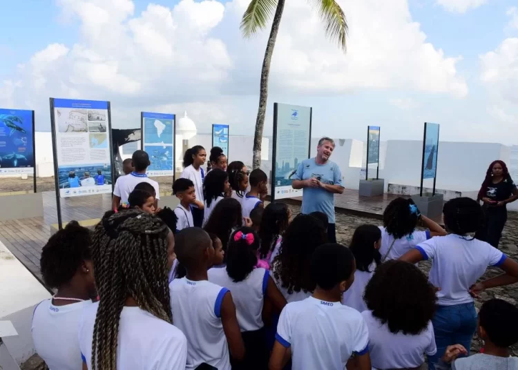 Ciclo de visitações: Alunos da rede municipal visitam Observatório das Baleias