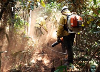 Mudanças climáticas: Governo Federal e estados unem esforços em estratégia integrada para combate e prevenção aos incêndios