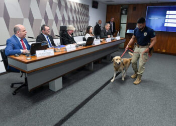 Transporte de animais em voos: debate indica fragilidades e necessidade de regulamentação