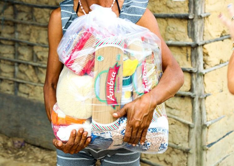 Segurança Alimentar: Aprovado fornecimento de cesta básica para mulher vítima de violência