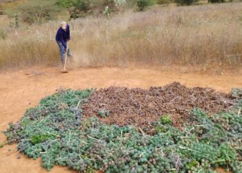 Nova Lei do Combustível do Futuro abre oportunidades para Agricultura Familiar da Bahia