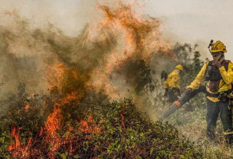 Polícia Federal atua de maneira coordenada com outros órgãos federais no combate às queimadas