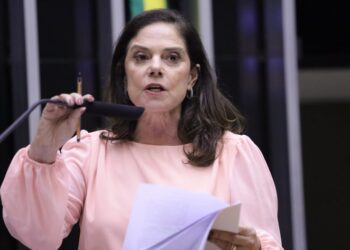 Interesse Público: Câmara aprova projeto que cria cadastro de pedófilos