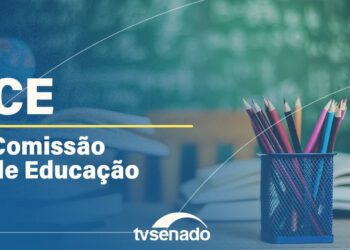 Projeto de lei: Política de preços de livros passará por nova votação na Comissão de Educação
