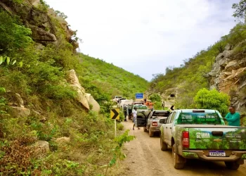 Vigilância: Operação Blitz/Ronda Verde no oeste e Chapada Diamantina emite 15 autos de infração