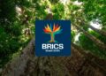 Conheça a identidade visual do BRICS Brasil Presidência do Brasil apresenta projeto visual