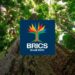 Conheça a identidade visual do BRICS Brasil Presidência do Brasil apresenta projeto visual