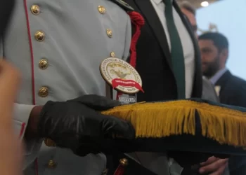 Honraria: 60 profissionais são agraciados com a Medalha do Mérito